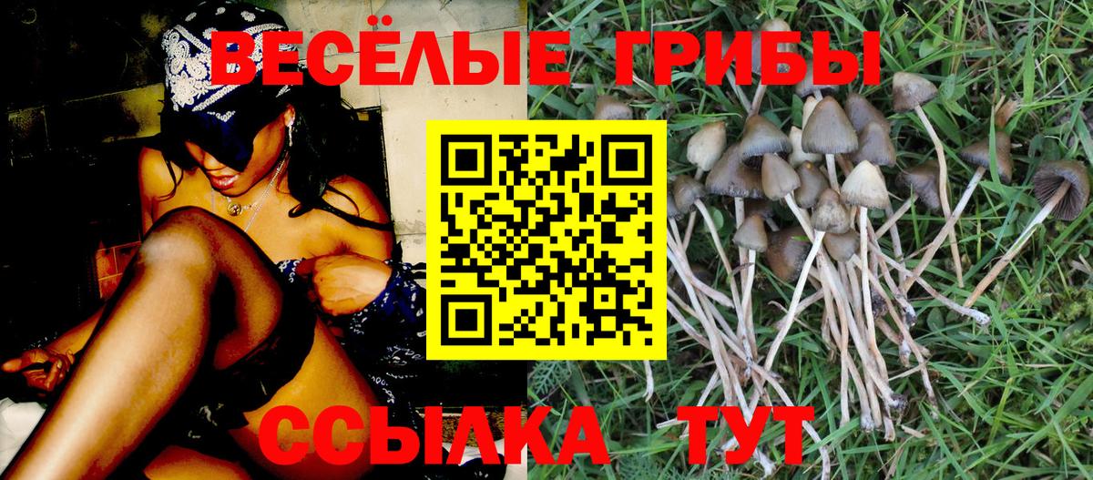 Галлюциногенные грибы Psilocybe  Вход с VPN  Куйбышев  дарнет шоп  Псилоцибиновые грибы прущие грибы 