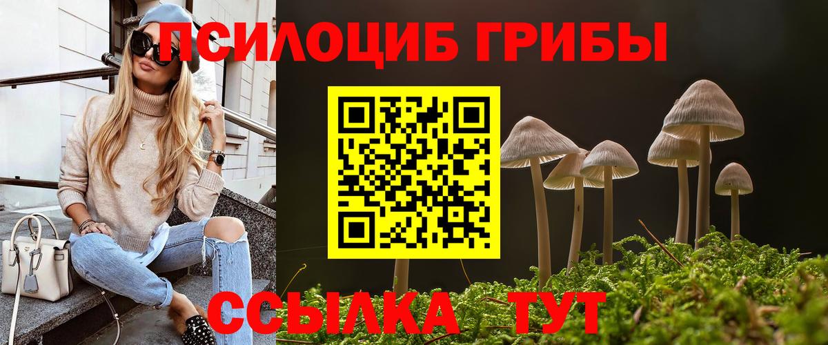 Галлюциногенные грибы MAGIC MUSHROOMS Куйбышев
